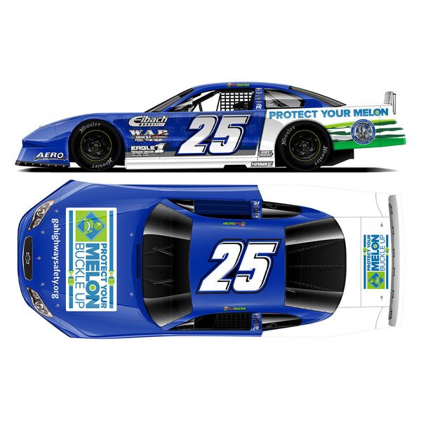 Ross Chastain Protect Your Melon #25 Late Model 1:24 Standard 2024 Diecast Car