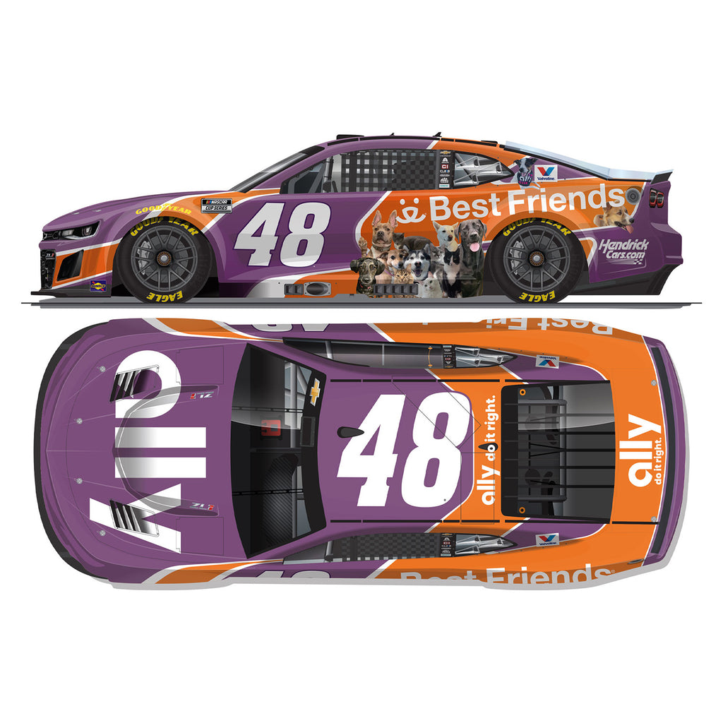Alex Bowman ELITE Ally Best Friends 1:24 2025 Diecast Car #48 NASCAR